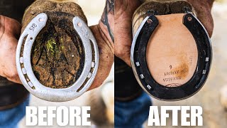 Satisfying Farrier Hoof Restoration ASMR [upl. by Bogoch]