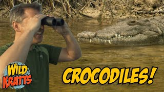 Crocodile Creature Adventure in Florida  Wild Kratts quotCrocogator Contestquot [upl. by Teplica]