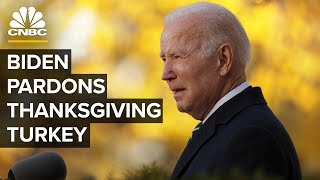 President Joe Biden pardons the Thanksgiving turkeys at the White House — 112023 [upl. by Edac]