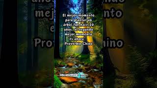 Proverbio chinoFrases sabias de la Vida Proverbios [upl. by Ulu180]