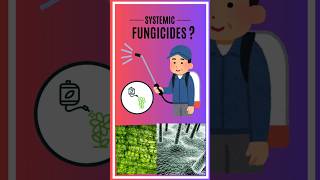 Systemic Fungicide [upl. by Novelc]