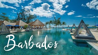 Top 5 Best Resorts In Barbados  Best Hotels In Barbados [upl. by Aksel]