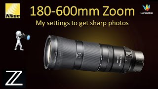 MY SETTINGS Nikon 180600mm to get sharp photos WILDLIFE PHOTOGRAPHY II Bird photography [upl. by Airekahs]