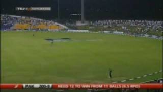 Amir World Record 73 Vs New Zealand  33 [upl. by Ardnaxila]