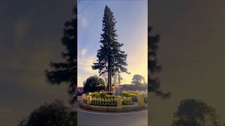 nilgiris nature video☀️salaarbgmootykotagiri traveltrendingshortsbikesalaarbgmevening tn43 [upl. by Notlrac]