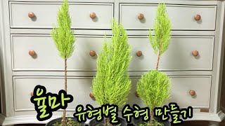 율마 유형별로 가지쳐서 수형 예쁜 율마 만들기Making a Goldcrest Wilma with pretty shapes by pruning by type [upl. by Caines]