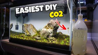 DIY CO2 for your PLANTED AQUARIUM 1 BOTTLE METHOD [upl. by Olivann]