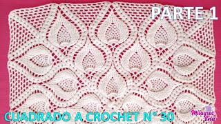 PARTE 1 Como tejer el Cuadro o cuadrado N° 30 a crochet en punto de hojas relieves y espigas [upl. by Ronald263]