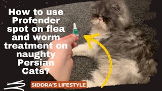 Profender Flea amp Worm Treatment for Cats Profender Flea Worm Treatment Cats [upl. by Maurene394]