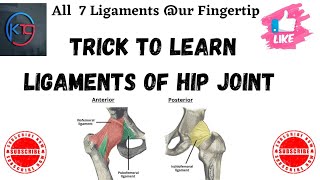 Trick to learn Ligament of Hip joint  Ligaments of Hip joint  hip joint  ligament mnemonicTrick [upl. by Jorey]