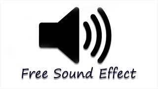 Prowler sound effect free sound effect [upl. by Cornelle939]