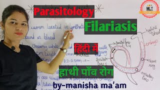 Filariasis हाथीपाँव  wuchereria bancrofti  Microfilaria  Mlt Lecture  Parasitology [upl. by Jory]