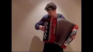 Yann Tiersen  La noyée  Accordion Cover [upl. by Ateloj]