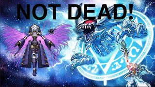 4th place Invoked shaddoll Dogmatika deck profile JanFebruary 2024 [upl. by Ailaro251]