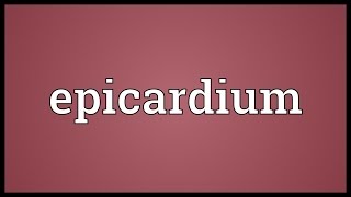 Epicardium Meaning [upl. by Torrell]