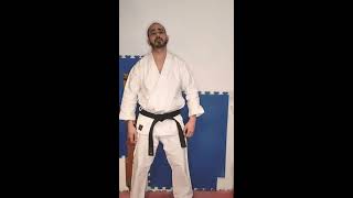 🥋💪🦵EJERCICIOS DE KARATE PARA FORTALECER y ENDURECER tibias y paradas shorts [upl. by Schiro]