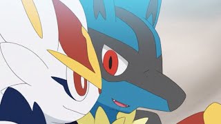 Cinderace and Lucario s CuteFunnyCool Moments From Pokemon Journeys Ep 48 [upl. by Nohsid743]