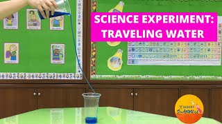 Traveling Water Experiment  Cohesion and Adhesion in Water Explained  Science Experiment for Kids [upl. by Nailil900]