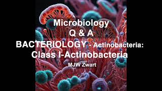 Microbiology QampA Bacteriology  Actinobacteria Class I Actinobacteria [upl. by Nogem]