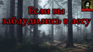 ЕСЛИ ВЫ ЗАБЛУДИЛИСЬ В ЛЕСУ Страшные истории на ночь Страшилки на ночь [upl. by Yecak]