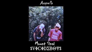 uicideboy  Mount Sinai Acapella [upl. by Nnylodnewg824]