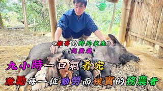 九小時一口氣看完《雄哥的野外求生》（完整篇），激勵每位勤奮而樸實的務農者 [upl. by Ahtaga]