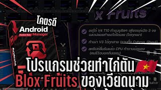 โปรแกรมช่วยทำไก่ตัน Blox Fruits ของดี จากค่ายเวียดนาม [upl. by Earal]