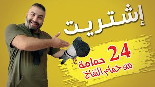 آجــي تشوف إشتريت 24 حمامة من حمام الكاديطانو 😍👇💪✅ [upl. by Pollack889]