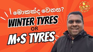 Winter Tyres vs MS Tyres Which is Best for Winter Driving  Winter ටයර් සහ MS ටයර් අතර වෙනස [upl. by Esinej510]