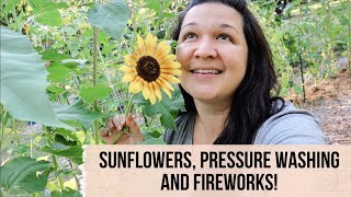 Sunflowers Pressure Washing amp Fireworks [upl. by Ostraw]