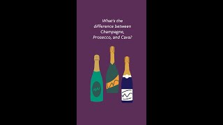 Champagne vs Prosecco vs Cava [upl. by Sage]