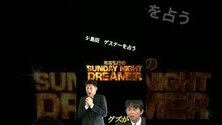 S・島田（島田秀平）がゲスナーを占う⁉️ お笑い 有吉弘行のsunday 有吉弘行sundaynightdreamer ラジオ 芸人 超神回 フワちゃん やす子 占い 詐欺師 [upl. by Geralda]