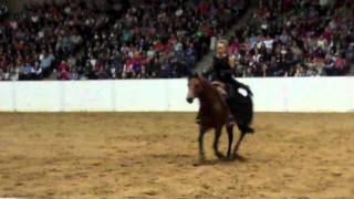 Stacy Wesfall 2011 Quarter Horse Congress Freestyle Reining [upl. by Anneirb]