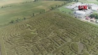 Kentucky corn maze features faces of both 2024 presidential candidates [upl. by Buerger601]