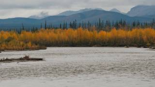 Dempster Highway and Tombstone Territorial Park Part 5 To Eagle Plains and back again [upl. by Ahsekram]