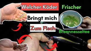 Entspanntes Kanalangeln im Herbst  Welcher Köder bringt Fisch  Brennnesseltee Zubereitung [upl. by Acile755]