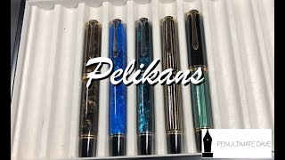 Pelikan M800 and M1000 Comparison [upl. by Elohcin573]