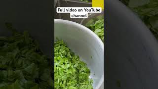 Saag recipe pakistanifoodsaag recipe reels trending travel explore viralshortviralvideo [upl. by Imis]