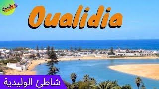 Plage El Oualidia شاطئ الوليدية الامتيازات و السلبيات El Oualidia Beach [upl. by Alethia20]