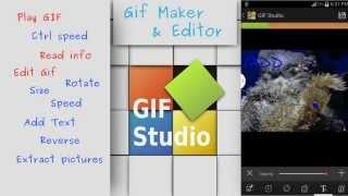 GiFStudio V1511 demo A GIF maker player and much more [upl. by Haimes]