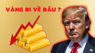 Trump Đắc Cử Giá Vàng Lao Dốc Vàng Sẽ Đi Về Đâu [upl. by Ecilegna]