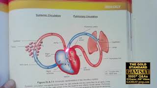 GAMSAT Practice Test 3 Questions 14 with Answers by ACER Worked Solutions Strategies by Gold Stan [upl. by Salohcin]