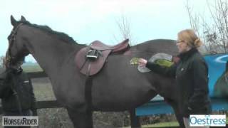 The Mares Oestrus Cycle Part 3  HorseandRider UK [upl. by Eseilenna]