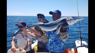 PÊCHE AU REQUIN BLEU  MAGNIFIQUE [upl. by Seema894]