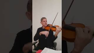 Romance in F Major op 50 Beethoven violin solo [upl. by Adiazteb]