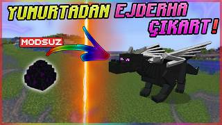 Minecraft Ejderha Yumurtası Nasıl Açılır  Ejderhayı Yeniden Canlandırmak Ender Dragon [upl. by Indnahc431]