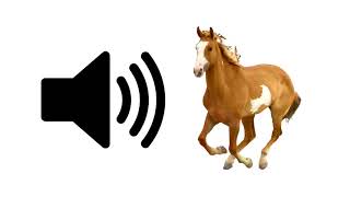 Horse  Sound Effect [upl. by Brand140]