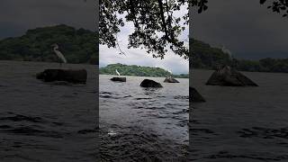 Laguna De Catemaco Veracruz veracruz 4K [upl. by Prader]