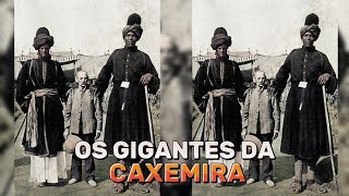 OS GIGANTES DA CAXEMIRA [upl. by Styles]