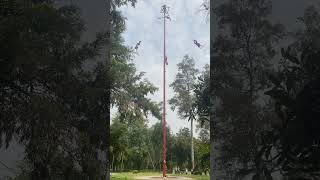 Dance of the flyers or Danza de los Voladores in Mexico City on Día de los Muertos [upl. by Sekofski587]